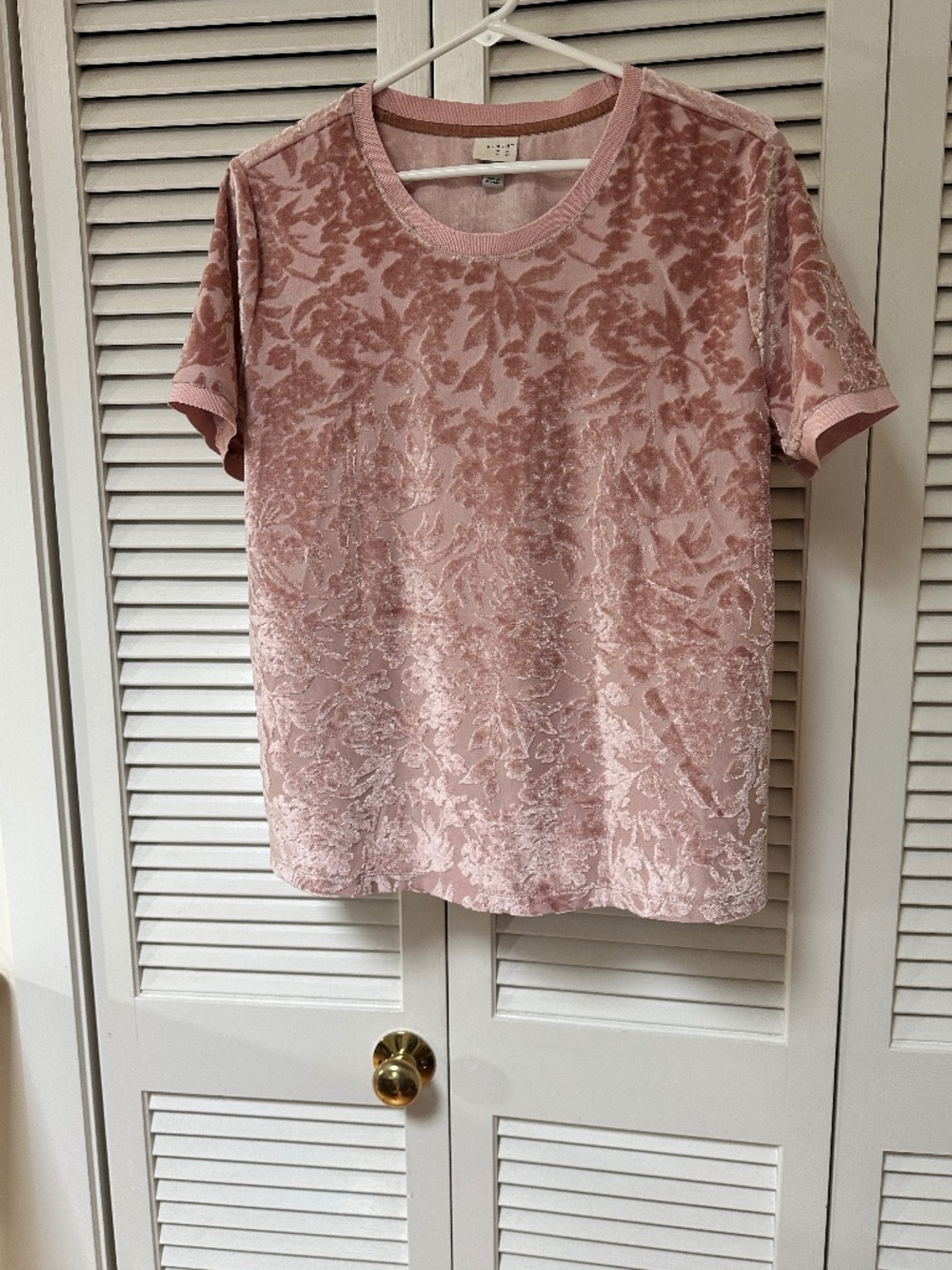 Pretty A New Day Textured Velvet Short Sleeve Top Soft Pink Large